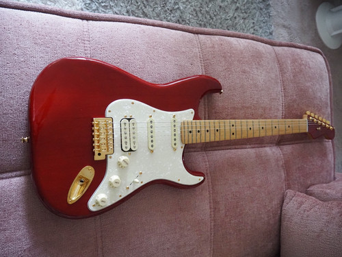Fender stratocaster tash - fender,
