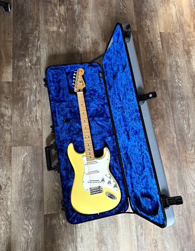 Fender player stratocaster - player,