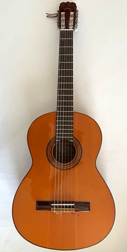 Fender classic 20 - fender,
