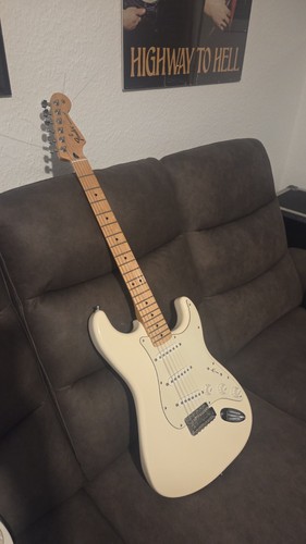 Fender standard stratocaster - standard,