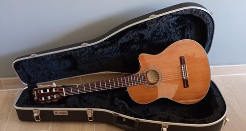Fender 240sce thinline - fender,